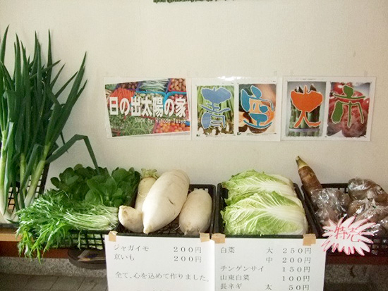 福祉施設と共同で野菜作り