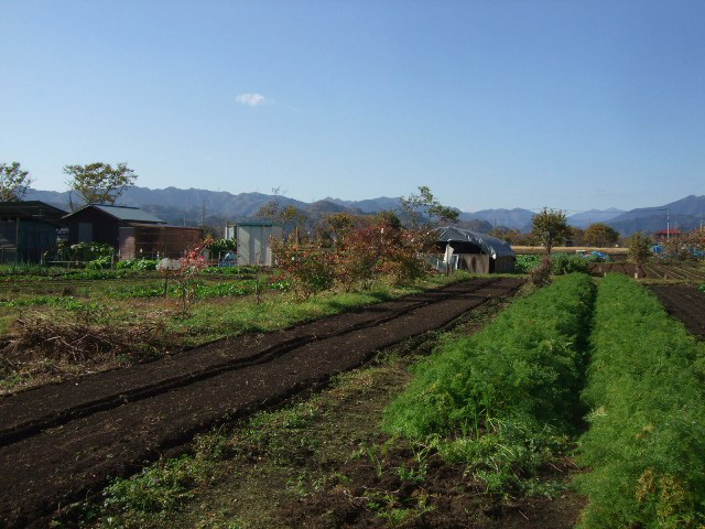 元気に育つ安心安全野菜