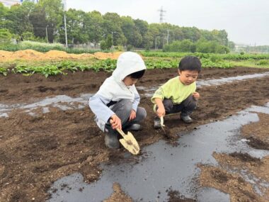 小さな手で一生懸命、土の感触を楽しみながら準備中